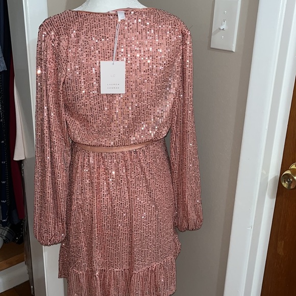 Lauren Conrad Party Dress - Picture 6 of 6